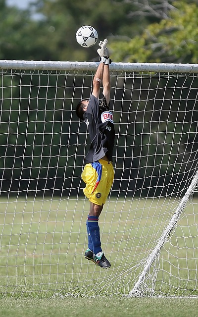 在这个快节 在这个快节