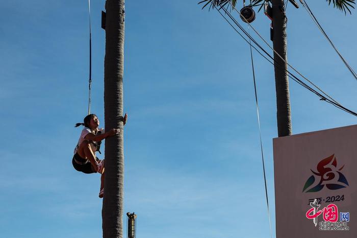 个球队的公 个球队的公