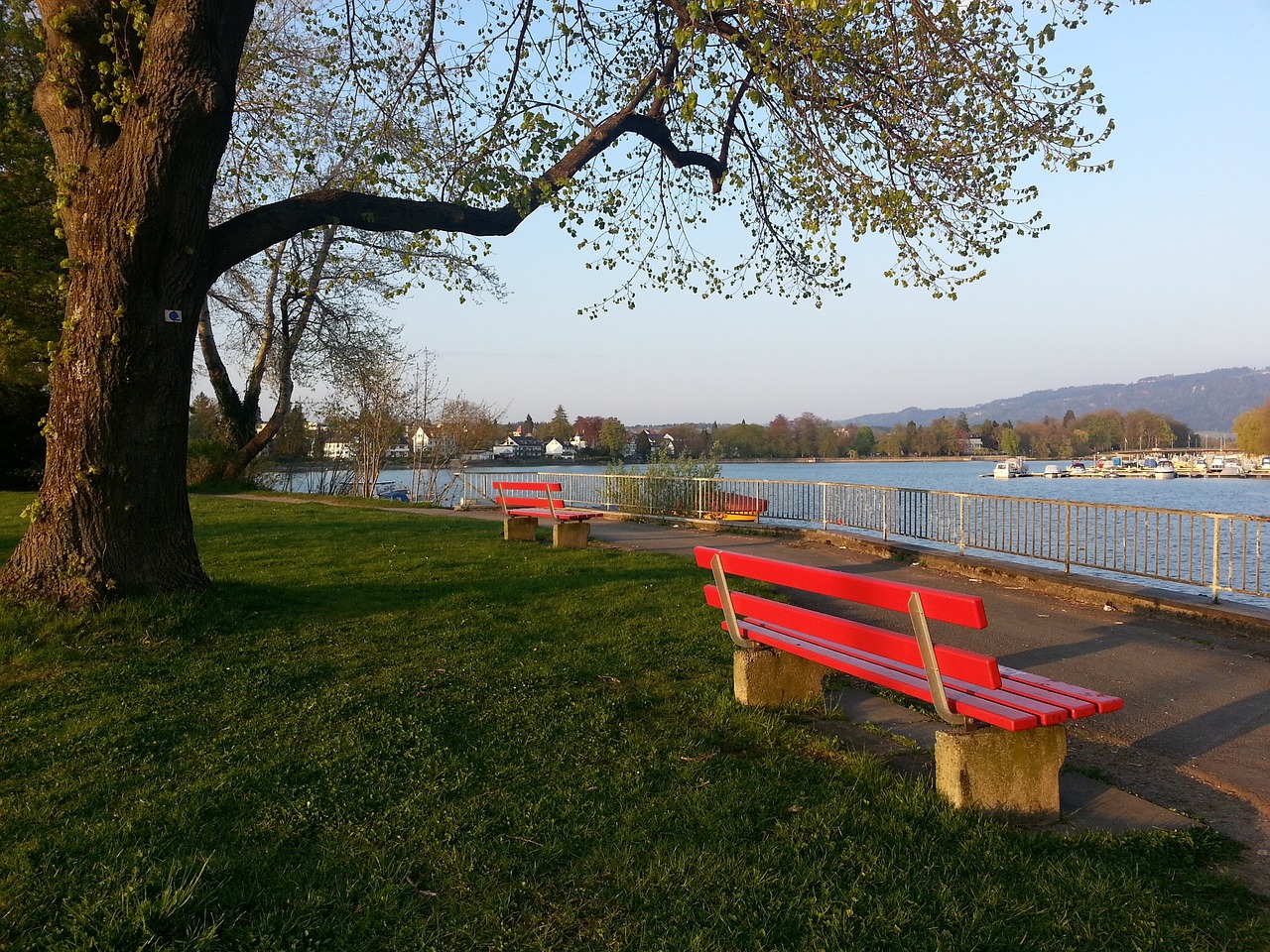 的整体作战 的整体作战